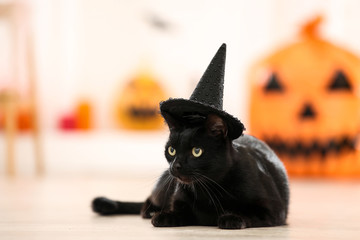 Black cat in halloween hat lying on the floor