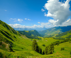 Fototapeta na wymiar Summer time mountain panoramic landscape in Switzerland