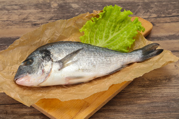 Raw Dorada fish  for cooking