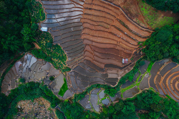 Aerial view of beautiful and freshly planted rice terraces in rainy season.