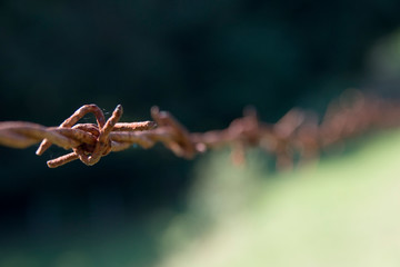 Rostiger Stacheldraht