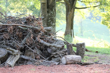 burn pile wood