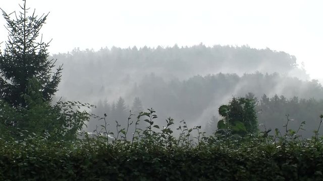 Es regnet und Nebelschwaden ziehen dahin