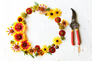 Flower composition with red secateurs on a wooden white background