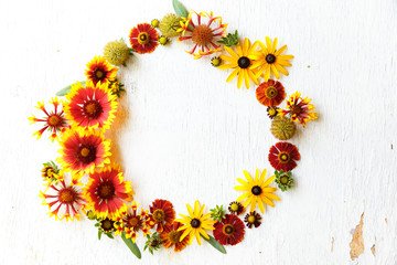 Flower composition on a wooden white background
