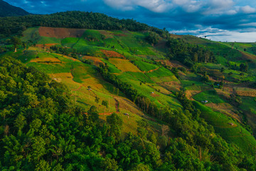 Fototapeta na wymiar Aerial view of agriculture lands in Doi Inthanon national park, Thailand. 