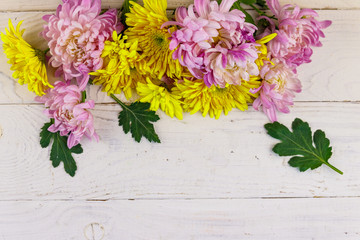 Beautiful chrysanthemums on white wooden background. Top view, copy space
