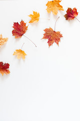 Autumn creative composition. Dried leaves on white background. Fall concept. Autumn background. Flat lay, top view, copy space