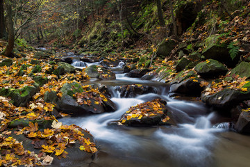 Jesienny górski potok - obrazy, fototapety, plakaty