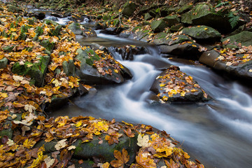 Jesienny górski potok © Grzegorz Targosz