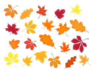Colorful autumn leaves set. Collection of oak, maple, chestnut trees leaves. Bright design elements for card, poster, banner, wallpaper, wrapping, textile, fabric, tile, print
