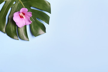 Flat lay composition with tropical leaf and Hibiscus flower on light blue background. Space for text