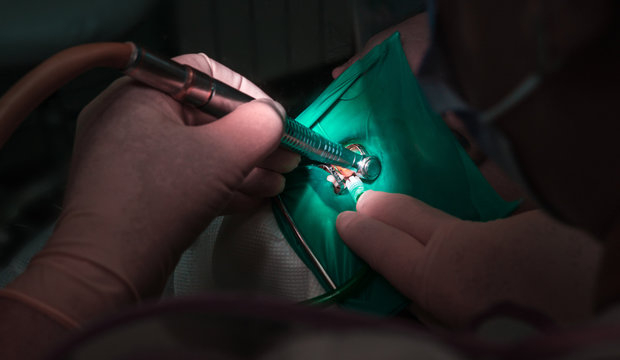 closeup of female hands with scissors