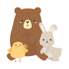 Bear rabbit and chicken cartoon vector design