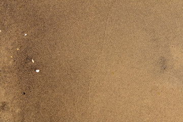Fototapeta na wymiar Background, texture of wet coastal sand.