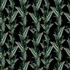 Fototapeta premium Watercolor eucalyptus leaves seamless pattern on white background. Floral texture for design, textile and background.
