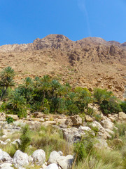 Fototapeta na wymiar Landscape at Wadi Tiwi and Wadi Shab Sultanate of Oman