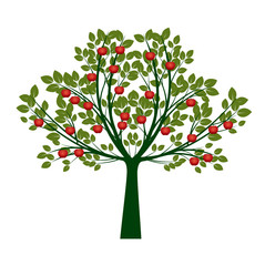 Beautiful Vector Apple Tree on white background. Vector Illustration and concept pictogram.