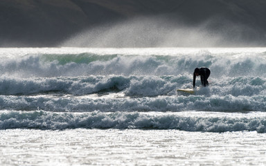 Polzeath, Cornwall, England UK: Unidentifiable man in wetsuit standing on a surfboard, surfing with windblown spray and green sea.