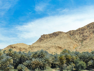 Landscape at Wadi Tiwi and Wadi Shab Sultanate of Oman