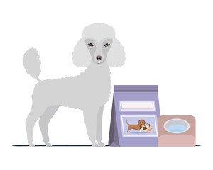 dog with bowl and pet food on white background