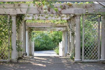 botanical garden brooklyn flowers