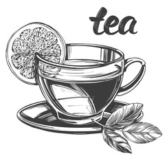 Cup of tea with lemon isolated on white background hand drawn vector illustration realistic sketch