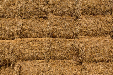 Cereal straw background