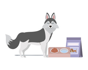 dog with bowl and pet food on white background