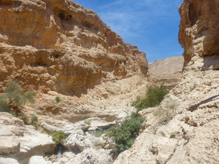 Fototapeta premium Landscape Wadi (Oase, Oasis) Bani Khalid Al Hajar Mountains (جِبَال ٱلْحَجَر‎, Jibāl al-Ḥajar, The Rocky Mountains, The Stone Mountains) Sultanate of Oman