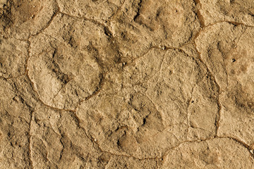 Draufsicht der Textur des trockenen Bodens im Dead Vlei in der Wüste Namib, im Sossusvlei nahe Sesriem, Namibia, Afrika, Hintergrund