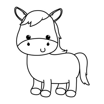 Isolated donkey cartoon vector design