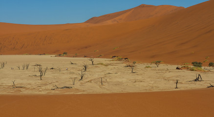 Fototapeta na wymiar Dead vlei mit toten Bäumen im Sossusvlei in der Wüste Namib in Namibia mit Dünen aus rotem Sand im Hintergrundamibia mit Dünen aus rotem Sand im Hintergrund