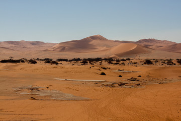 Fototapeta na wymiar Rote Sanddüne im Sossusvlei in der Wüste Namib in Namibia mit Dünen aus rotem Sand im Hintergrund