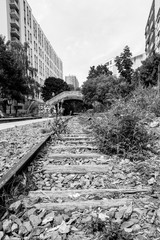 Sur les pas de Willy Ronis