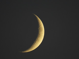 an increasing crescent moon stands in the evening sky © karegg