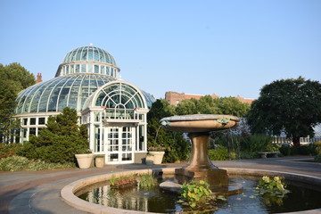 flowers brooklyn botanical garden