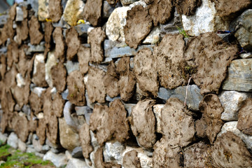 Dry dung fuel