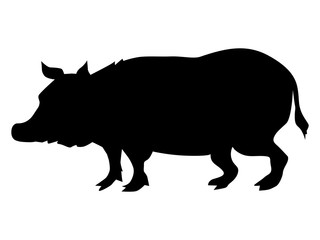 Silhouette of big swine. Side view. Motive of domestic animals