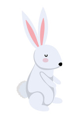 Isolated rabbit cartoon vector design