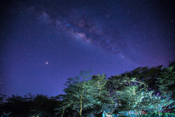 Fototapeta na wymiar Milky Way on Lake Naivasha, Kenya