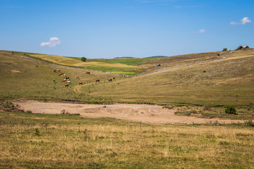 Obraz premium Nature