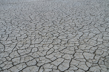 Cracked crust of withered lake