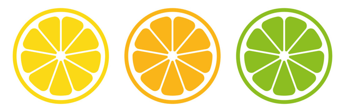 Citrus slice set. Lemon slice. Orange slice. Lime slice. Vector illustration