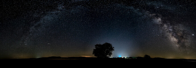panoramic Milky Way with tree