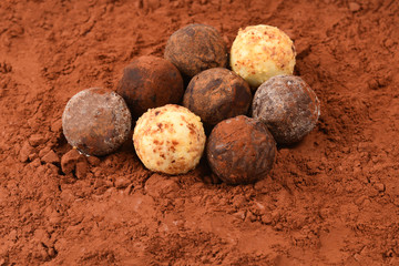 Chocolate truffle isolated on white background.