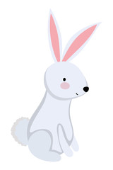 Fototapeta premium Isolated rabbit cartoon vector design