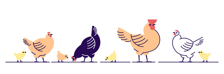 Chickens flat vector illustration. Multicolor chicks, hens and and rooster cartoon isolated design elements with outline. Chicken meat production, bird breeding. Poultry farm, animal husbandry © IMG visuals icons