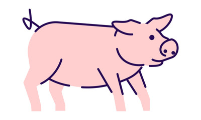 Cute pig side view flat vector illustration. Livestock farming, domestic animal husbandry design element with outline. Pork meat production logo. Cartoon piglet, hog isolated on white background