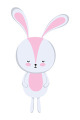 Isolated rabbit cartoon vector design